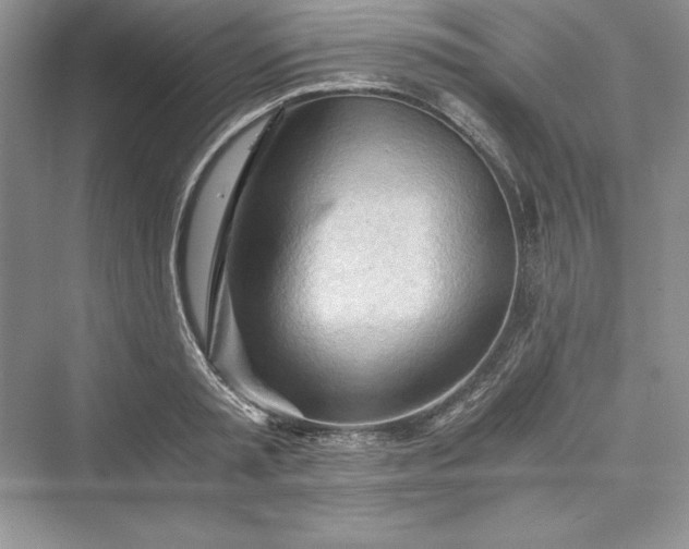 X0000073410797200608111324