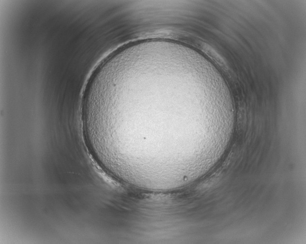 X0000073410800200608111324