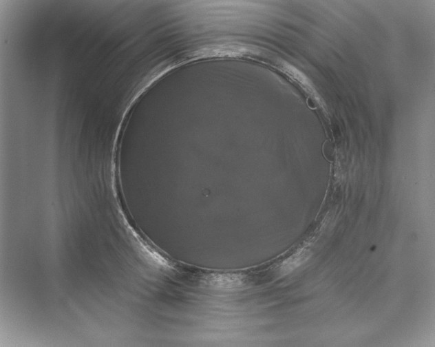 X0000073410802200608111323