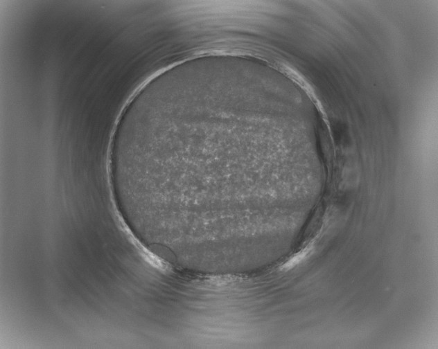 X0000073410803200608111323