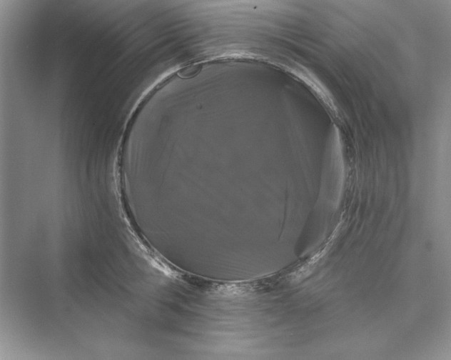 X0000073410806200608111323