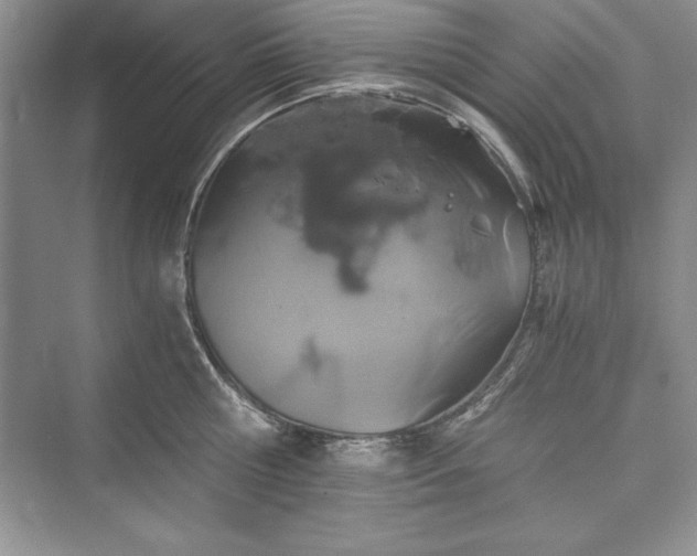 X0000073410810200608111323