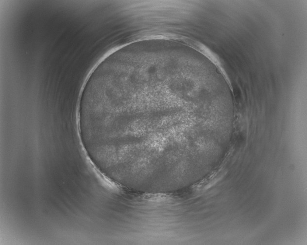 X0000073410811200608111323