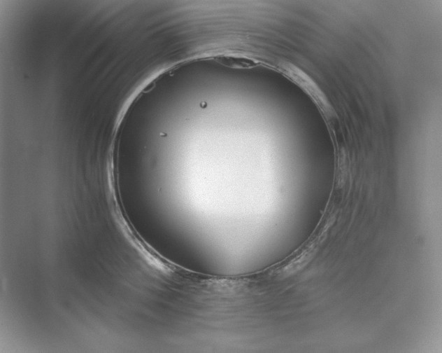 X0000073410812200608111323