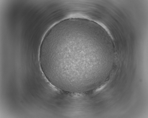 X0000073410815200608111323