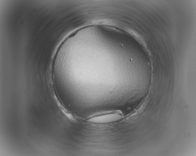 X0000073410816200608111323