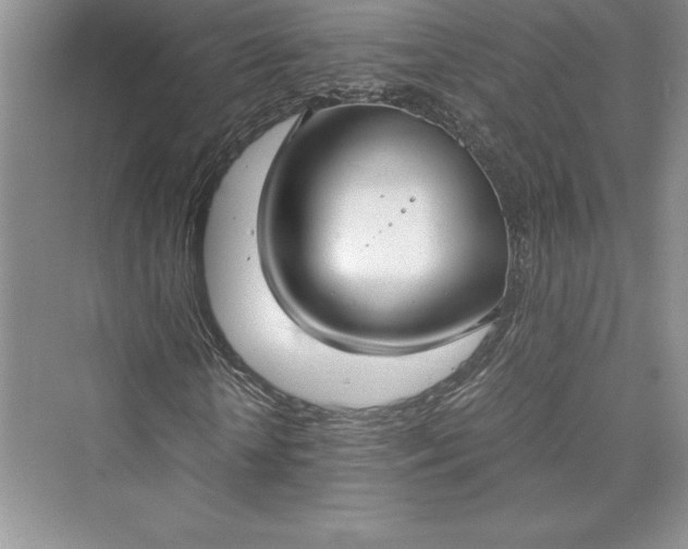 X0000073410818200608111322