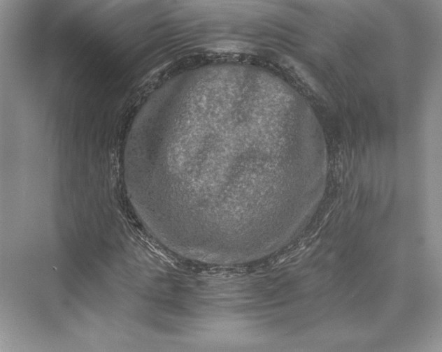 X0000073410821200608111322