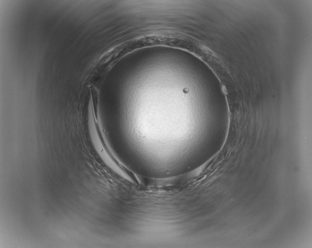 X0000073410822200608111323