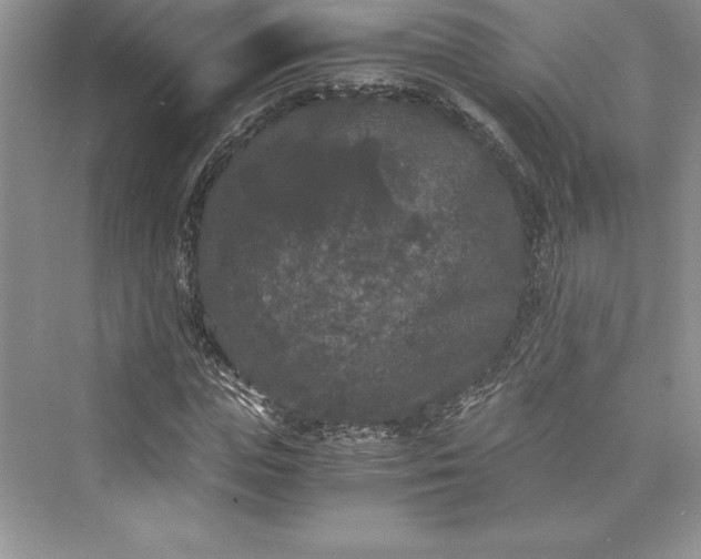 X0000073410823200608111323