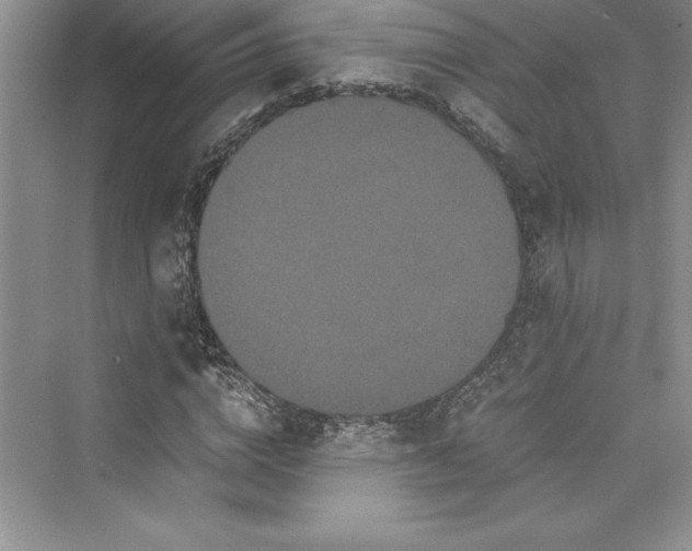 X0000073410824200608111323