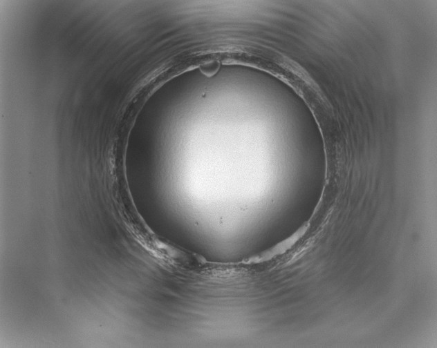 X0000073410826200608111323