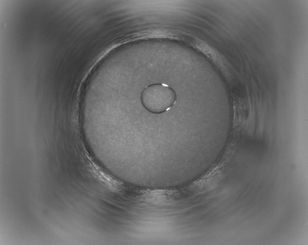 X0000073410828200608111323