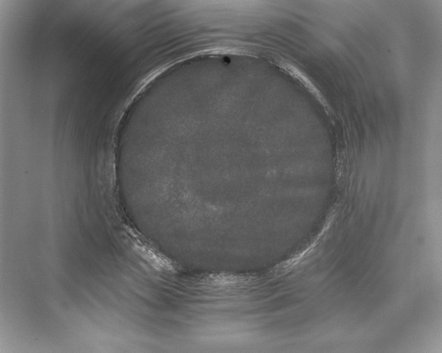 X0000073410829200608111323