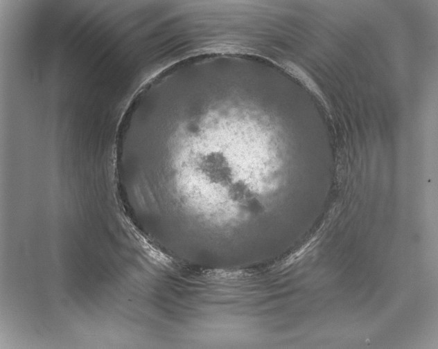 X0000073410831200608111323