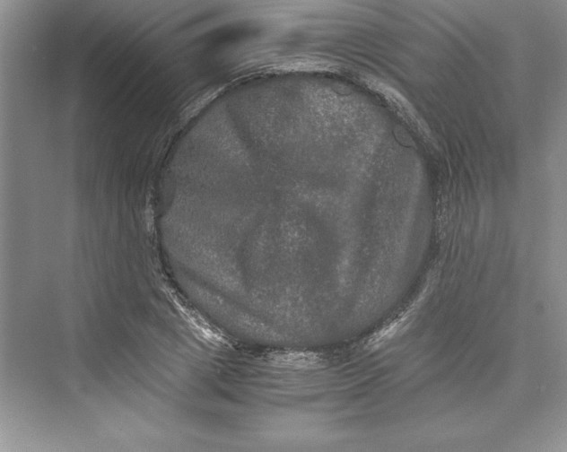 X0000073410833200608111323