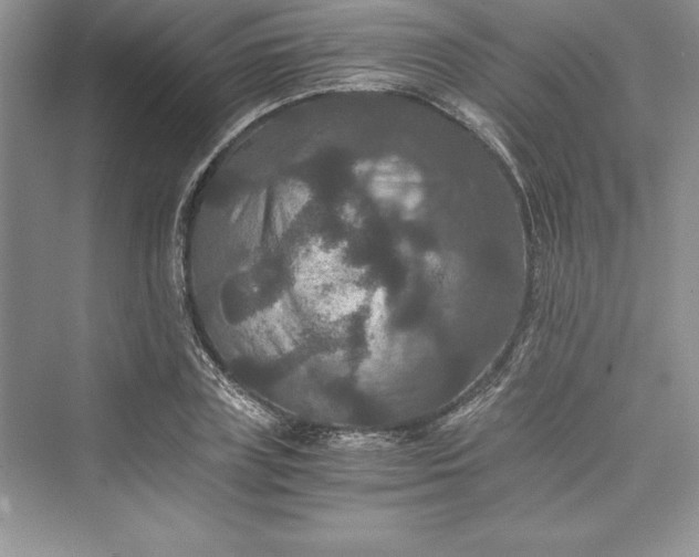 X0000073410835200608111323