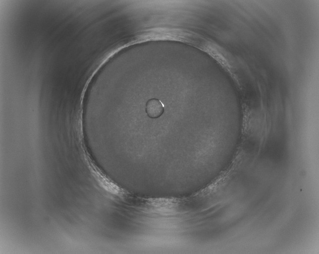 X0000073410836200608111323