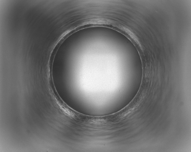 X0000073410837200608111323