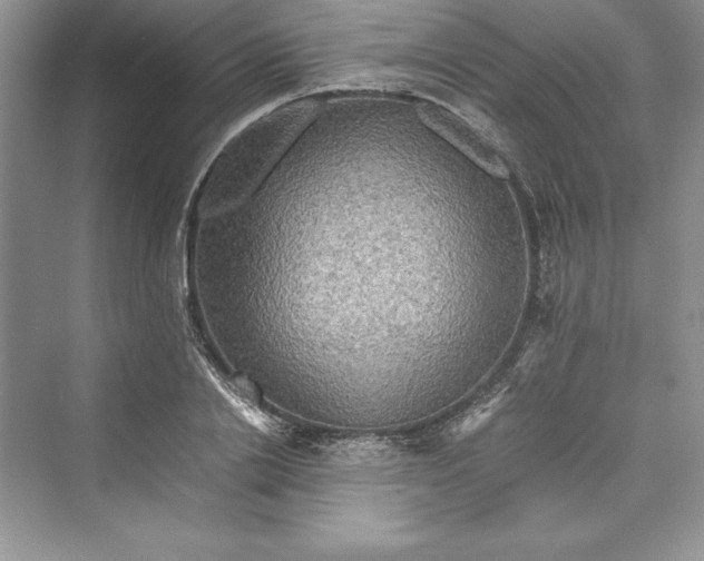 X0000073410838200608111323