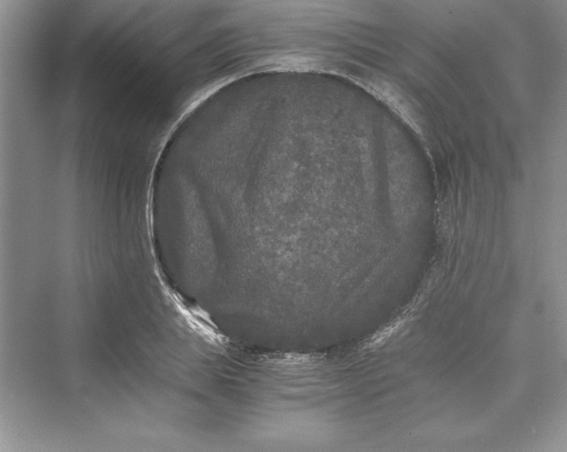 X0000073410839200608111323