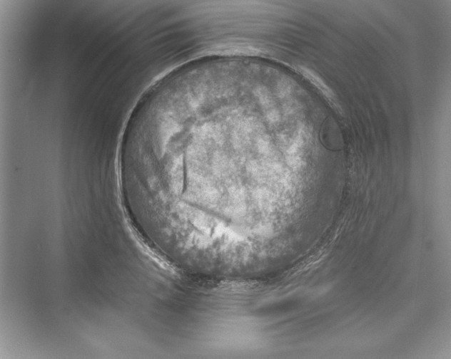 X0000073410840200608111323