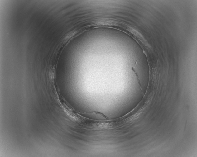 X0000073410841200608111323