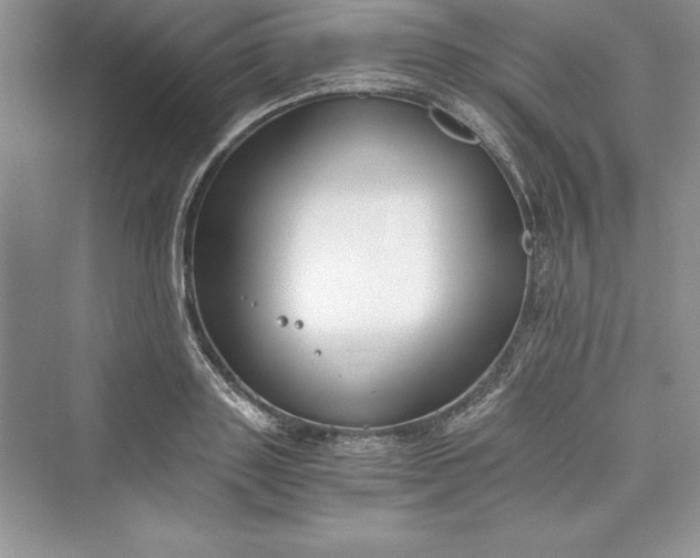 X0000073410843200608111323