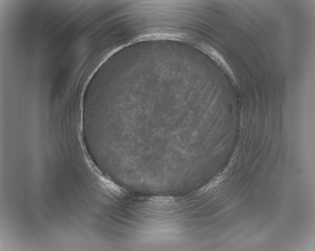 X0000073410844200608111323