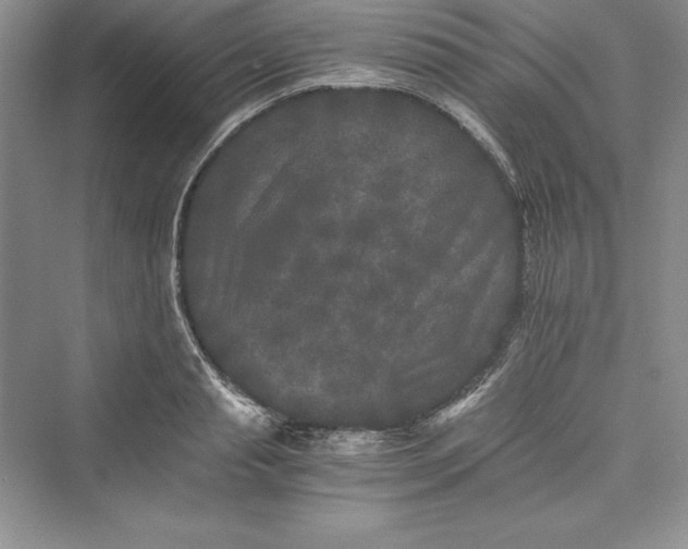 X0000073410845200608111323