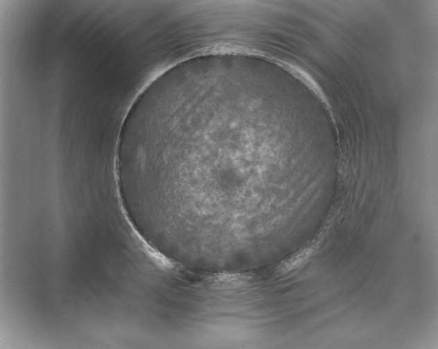 X0000073410847200608111323