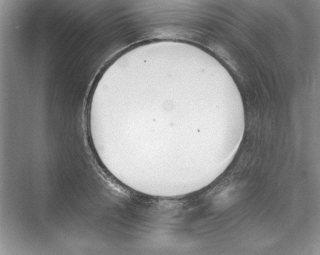 X0000073410848200608111323