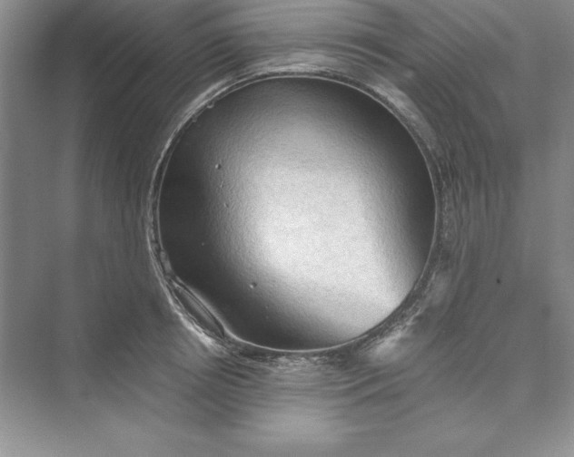 X0000073410850200608111323