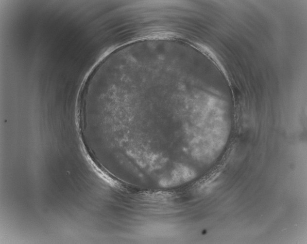 X0000073410851200608111323