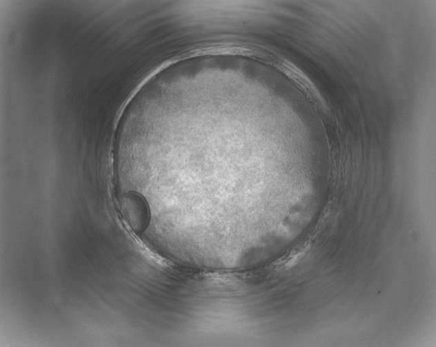 X0000073410852200608111323