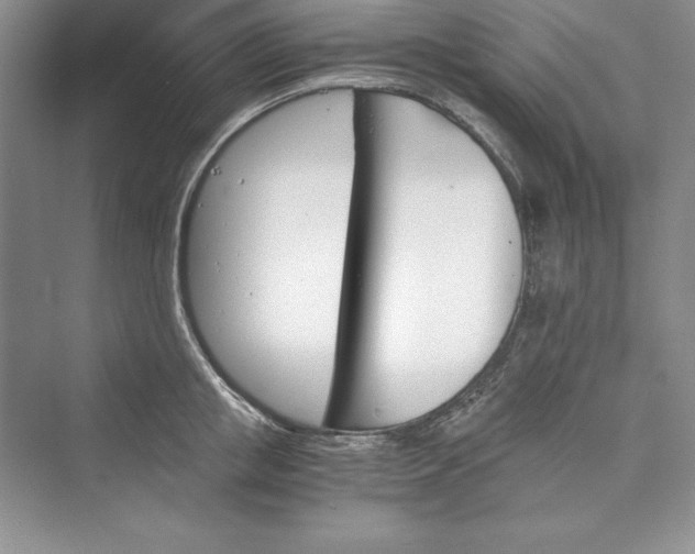 X0000073410853200608111323