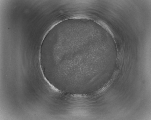 X0000073410855200608111323