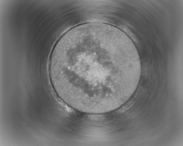 X0000073410856200608111323