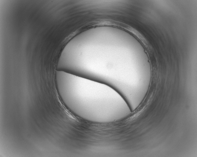 X0000073410857200608111323