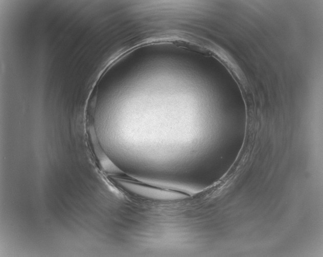 X0000073410858200608111323