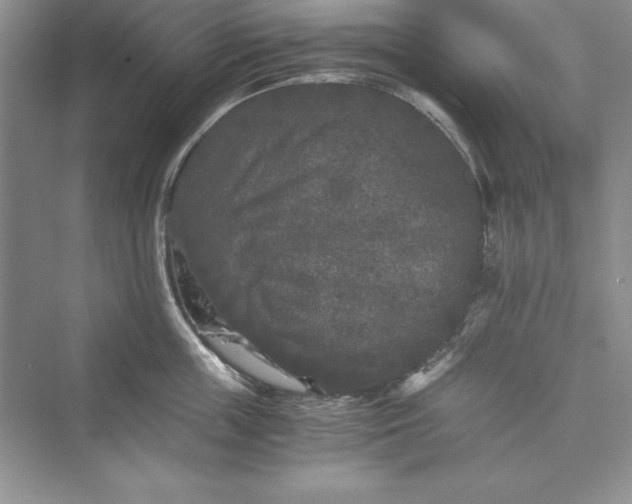 X0000073410859200608111323