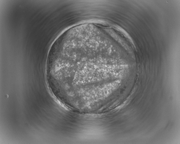 X0000073410860200608111323