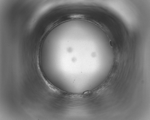 X0000073410861200608111323