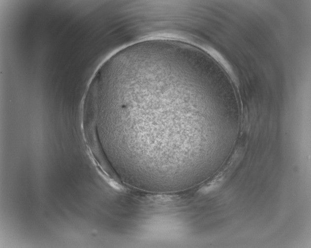 X0000073410862200608111323