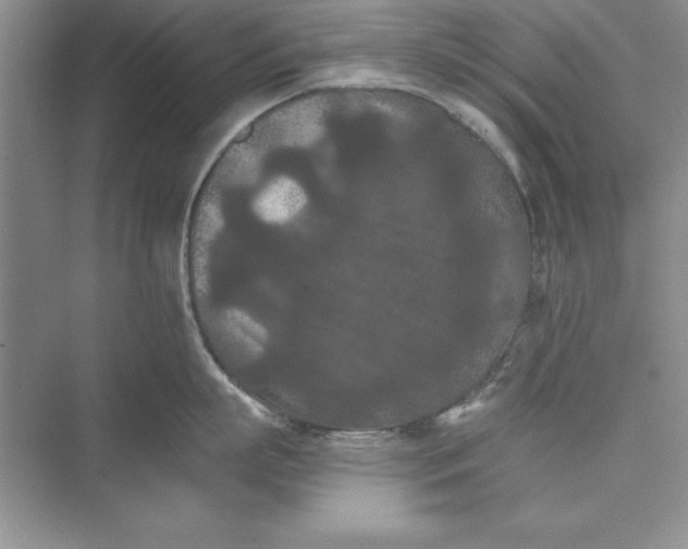 X0000073410863200608111323