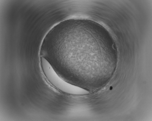 X0000073410864200608111323