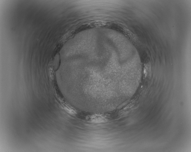 X0000073410867200608111322