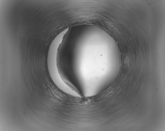 X0000073410868200608111322