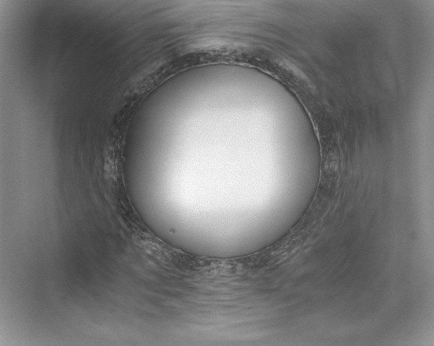 X0000073410869200608111322