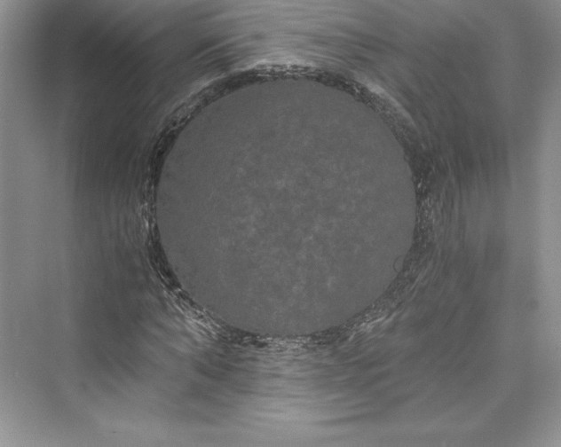 X0000073410870200608111322